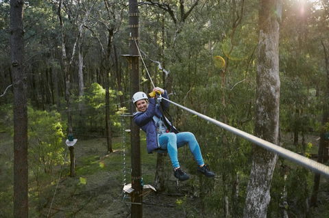 Forest Adventures South West - Tweed Heads Accommodation 2