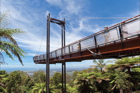 Forest Sky Pier, Sealy Lookout - Tweed Heads Accommodation 0