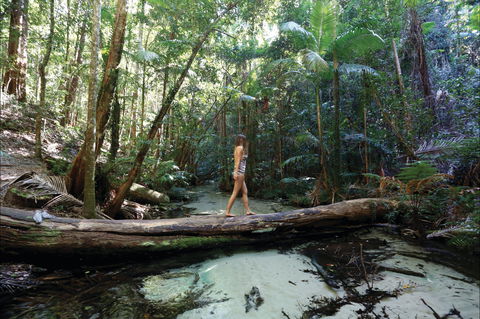 Great Beach Drive - 3 Day Itinerary - Tweed Heads Accommodation 0