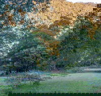 Griffins walking track - Tweed Heads Accommodation