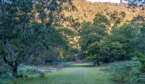 Griffins Walking Track - Tweed Heads Accommodation 0