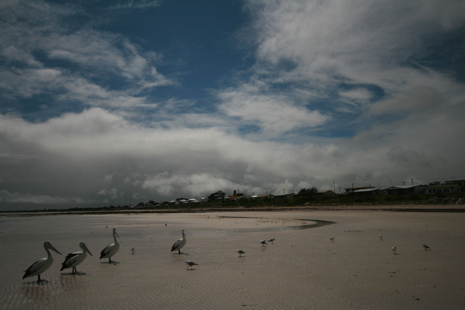 Yorke Peninsula SA Tweed Heads Accommodation