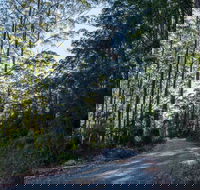 Hastings Forest Way Touring Route - Tweed Heads Accommodation