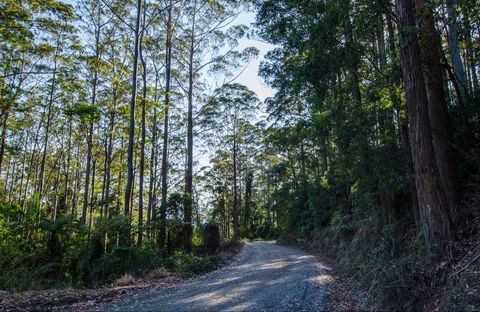Hastings Forest Way Touring Route - Tweed Heads Accommodation 0