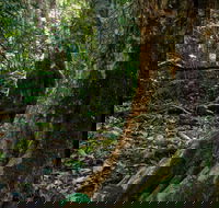 Hidden Treasure Track - Tweed Heads Accommodation