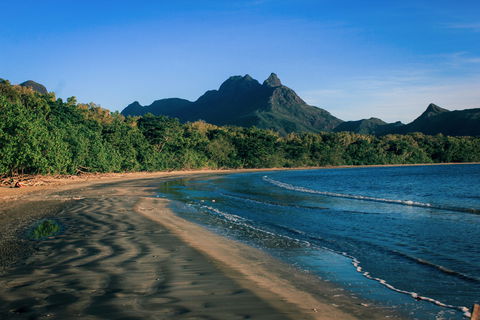Hinchinbrook Island - Tweed Heads Accommodation 2
