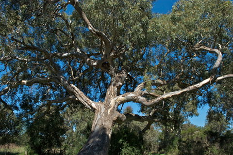 Holey Plains State Park - Tweed Heads Accommodation 0