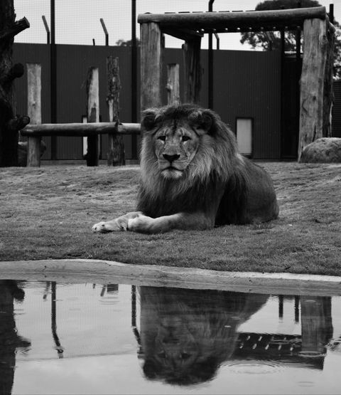 Hunter Valley Zoo - Tweed Heads Accommodation 0