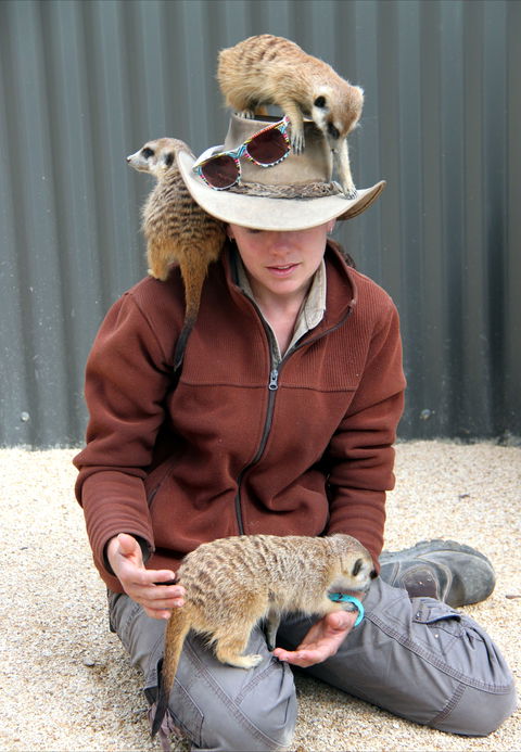 Hunter Valley Zoo - Tweed Heads Accommodation 2