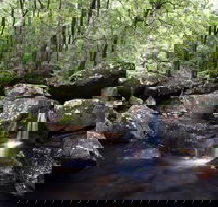 Kangaroo River - Tweed Heads Accommodation
