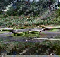 Kayaking Upper Tuross River and Bumbo Lake - Tweed Heads Accommodation