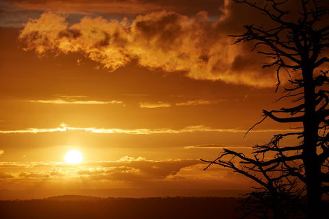 Lady Stonehavens Lookout - Tweed Heads Accommodation 0