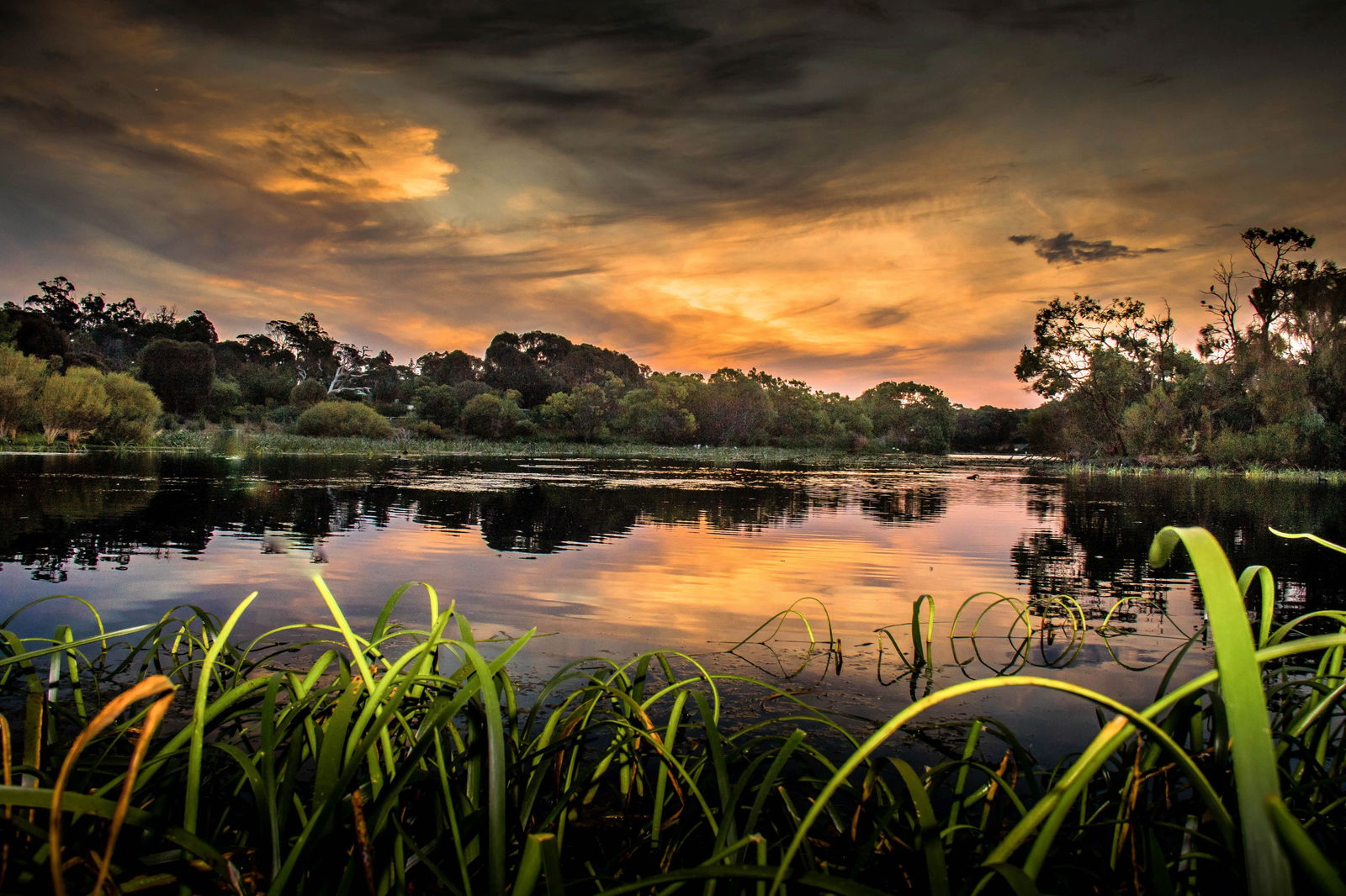  Tweed Heads Accommodation