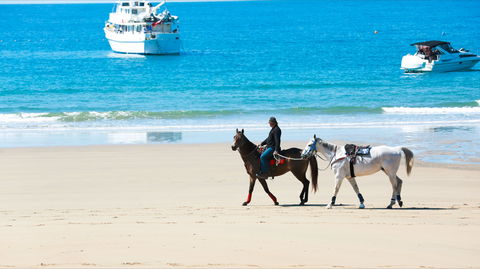 Mackay Harbour Beach - Tweed Heads Accommodation 0