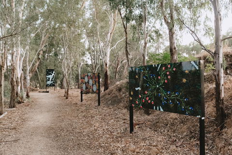 Marrambidya Wetland - Tweed Heads Accommodation 2