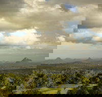 Mary Cairncross Scenic Reserve Rainforest Walk - Tweed Heads Accommodation