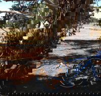 Murchison Rail Trail - Tweed Heads Accommodation
