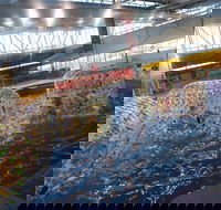 Oasis Regional Aquatic Centre - Tweed Heads Accommodation