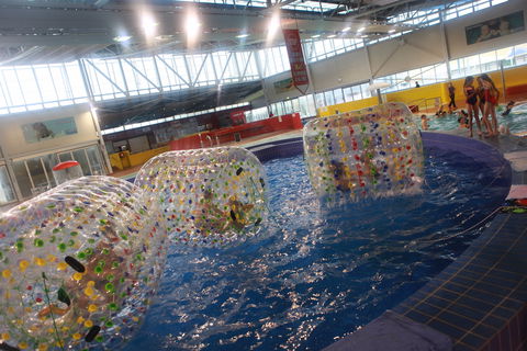 Oasis Regional Aquatic Centre - Tweed Heads Accommodation 0