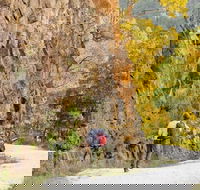 Old Great North Road - World Heritage Walk - Tweed Heads Accommodation