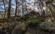 Pheasants Peak Walking Track - thumb 0