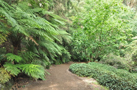 Pirianda Gardens - Tweed Heads Accommodation 0