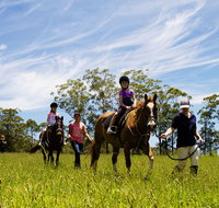 Port Macquarie Horse Riding Centre - Tweed Heads Accommodation