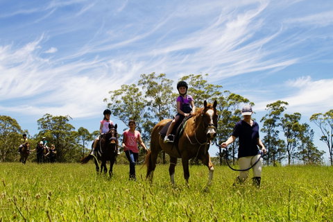 Port Macquarie Horse Riding Centre - Tweed Heads Accommodation 0