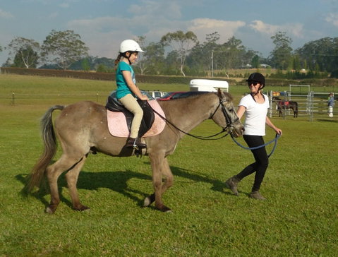 Port Macquarie Horse Riding Centre - Tweed Heads Accommodation 1