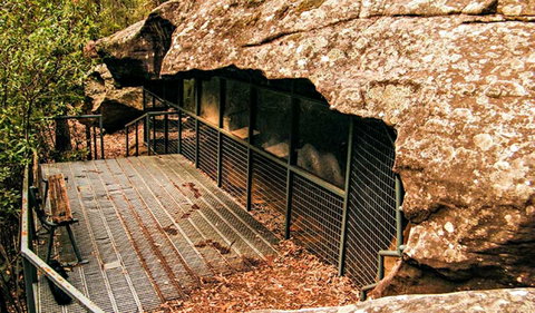 Red Hands Cave Walking Track - Blue Mountains National Park - Tweed Heads Accommodation 0