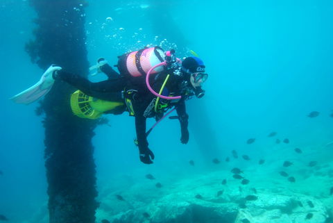 Shellharbour Scuba  And Photography Centre - Tweed Heads Accommodation 0
