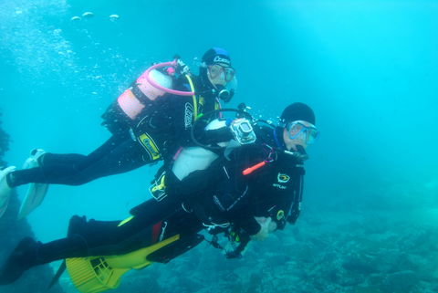Shellharbour Scuba  And Photography Centre - Tweed Heads Accommodation 1
