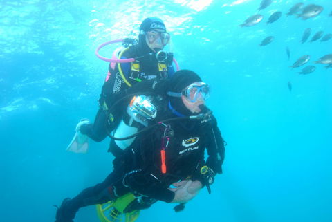 Shellharbour Scuba  And Photography Centre - Tweed Heads Accommodation 2
