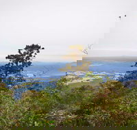 Slingsbys Trail and Syndicate Ridge Track - Tweed Heads Accommodation