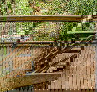 Somersby Falls walking track - Tweed Heads Accommodation