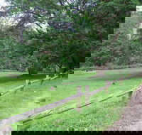 St Albans Reserve - Tweed Heads Accommodation