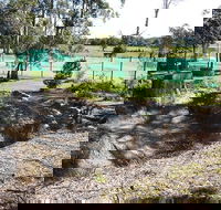 Tactical Paintball Games - Tweed Heads Accommodation