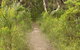 Three Views Walking Track - thumb 0