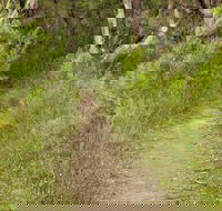 Three Views walking track - Tweed Heads Accommodation