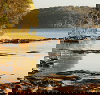 Wangi Wangi - Tweed Heads Accommodation