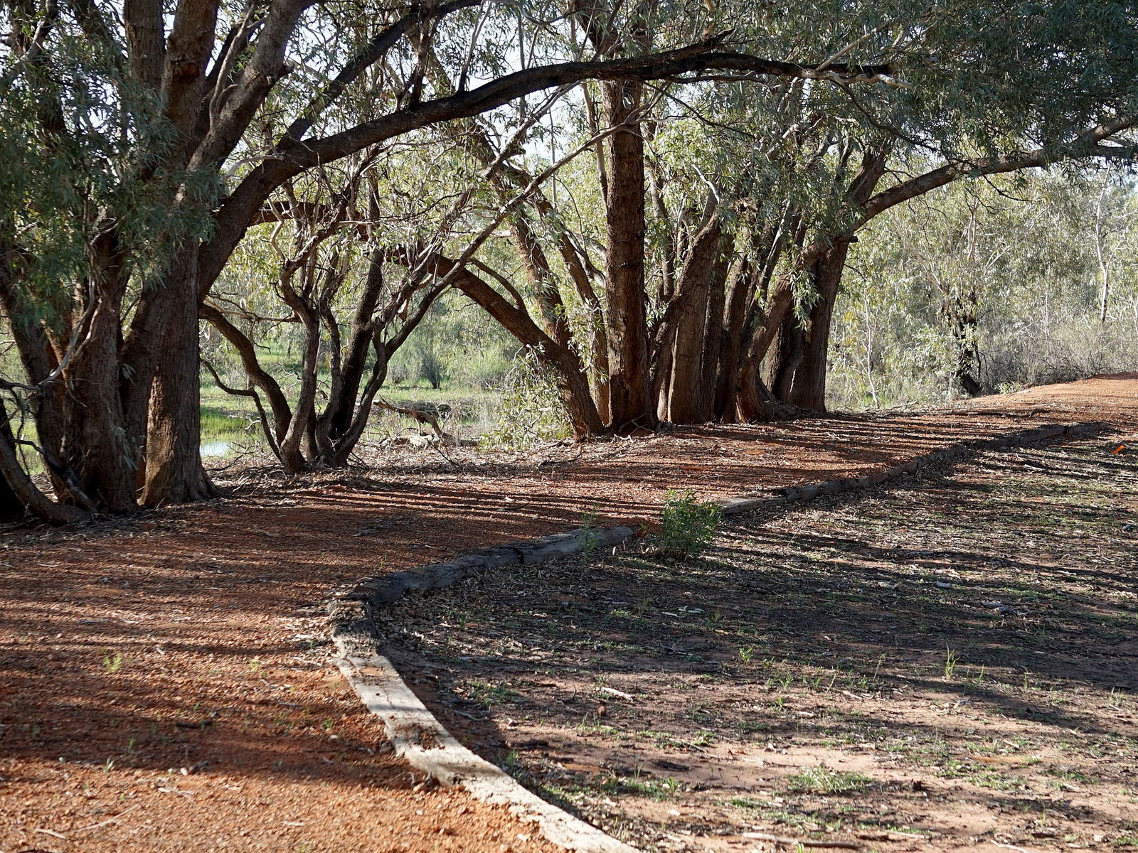 Louth NSW Tweed Heads Accommodation