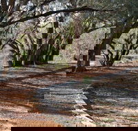 Warrego Floodplain walking track - Tweed Heads Accommodation