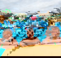 Waterworld Central - Mobile Inflatable Waterpark - Tweed Heads Accommodation