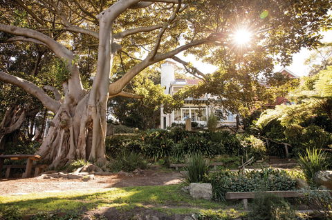 Wendy Whiteley's Secret Garden - Tweed Heads Accommodation 0