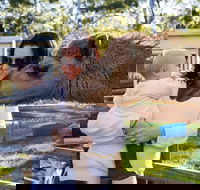 White Ridge Farm - Tweed Heads Accommodation