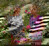 White Cottage - Tweed Heads Accommodation