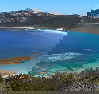 Whitemark - Tweed Heads Accommodation