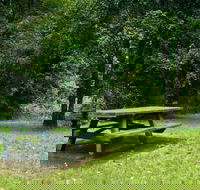 Williams River picnic area - Tweed Heads Accommodation