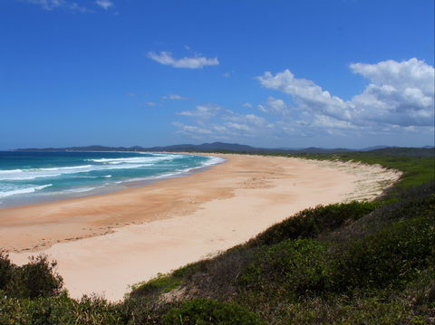 Wilsons Headland - Tweed Heads Accommodation 0