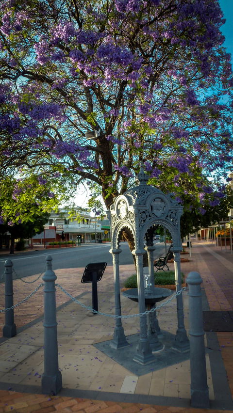 Witcombe Fountain - Tweed Heads Accommodation 0